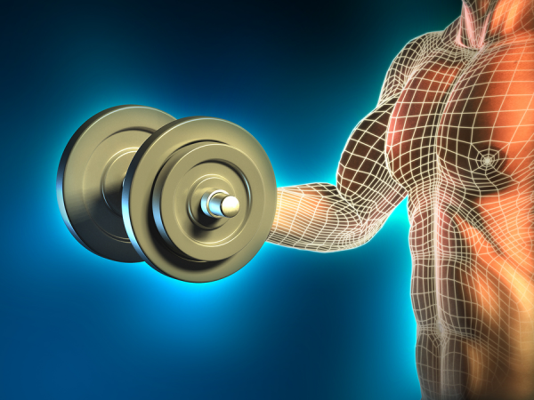 5 High-Intensity Drop Set Techniques To Bust Through Plateaus And Build ...