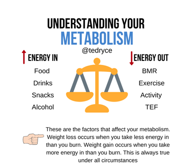 Understanding your metabolism